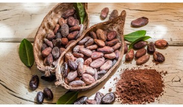 A Natural Alternative to Coffee